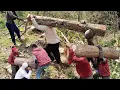 Lagu Bos ga mau tau,,yang penting target,kayu jati posisi di jurang\