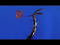 Hyperreal (feat. KUČKA) - Flume