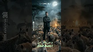 انا شكلي مابين خاينين   ضغوطات وحاجات بتجر حاجات   عصام صاصا الكروان   توزيع كيمو الديب      دندنها