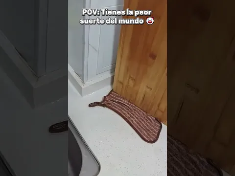 Un gancho de $1 vs Una casa entera 💀🌊