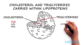 Dyslipidemia What to know about Cholesterol and Triglycerides levels