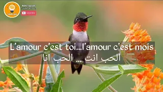 أجمل أغنية فرنسية مترجمة إلى العربية مع الكلمات الطائر و الطفل L Oiseau Et L Enf 