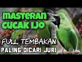 Download Lagu MASTERAN CUCAK IJO FULL TEMBAKAN SUPER KASAR !!! AUTO DILIRIK JURI !!!