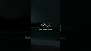 قال لا تخافا انني معكما اسمع وأرى القارئ محمد ديبيروف سورة طه Quran قرآن کریم محمد ديبيروف 