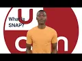 SNAP Benefits Explained