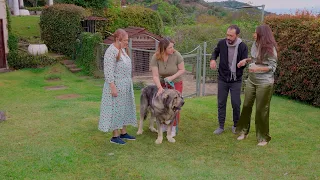 Simplemente Elvirilla - Episodio 13: Mi perris