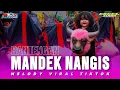 Download Lagu DJ BANTENGAN || MANDEK NANGIS || GEDRUK PINDO EXCEL AUDIO from ALFARIZQI PRODUCTION