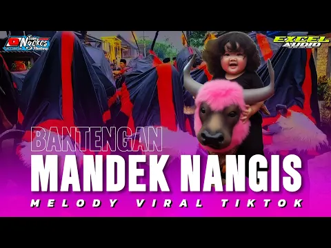Download MP3 DJ BANTENGAN || MANDEK NANGIS || GEDRUK PINDO EXCEL AUDIO from ALFARIZQI PRODUCTION