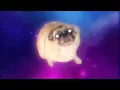 Download Lagu OIIAOIIA Dog