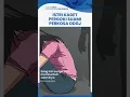 Download Lagu Istri di NTT Kaget Pergoki Suami Perkosa ODGJ di Belakang Rumah, Ternyata Dilakukan Berkali-kali