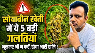 सोयाबीन फसल में फूल झड़ने की समस्या का हल | सोयाबीन' की देखभाल कैसे करें #mykisandost