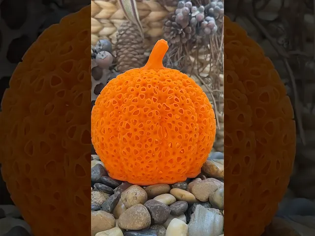 Cucurbita Curviformis video thumbnail