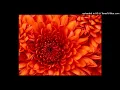Download Lagu Sharon S Wonderful Club Mix