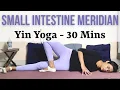 Yin Yoga for Small Intestine Meridian - 30 Minutes