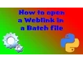 How to open a website in a batch file