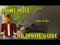 OSRS Giant Mole Ultimate Quick Guide for Noobs Pet hunters and MORE