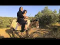 Ass riding