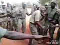 Les militaires congolais dans leur délire