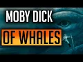 RAID Shadow Legends Building a easy to build Unkillable MOBY DICK BIGGEST WHALE I HAVE SEEN