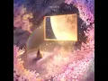 A flutter night (Inst.)