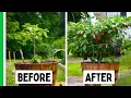 Stop Slowing Your Peppers Down