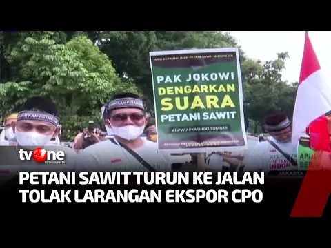 Unjuk Rasa Petani Sawit, Menuntut Larangan Ekspor Dihentikan