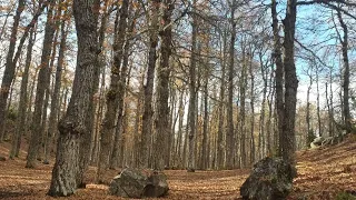 وتنهال كل همومي عليي يوسف مغربي رائعة 