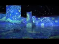 Beyond Van Gogh comes to Providence