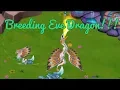 Download Lagu Breeding the Eve Dragon Dragonvale