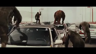 مقطع من فيلم القرد سيزر قتال مع الشرطة على الجسر 