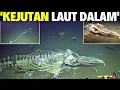 Download Lagu Rakaman Sebenar Hidupan Di Tempat Paling Dalam Di Dunia-Jurang Mariana
