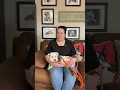 She Fostered One Then Adopted Two Rescue Schnauzer Story