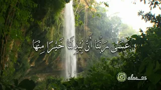 عسى ربنا أن يبدلنا خير ا منها   سورة القلم   إسلام صبحي دندنها