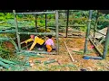 Download Lagu Ibu Tunggal Membangun Dinding Rumah Bambunya yang Belum Selesai