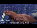 EverQuest - Quest Beastlord Epic 1 5 Savage Lord s Totem