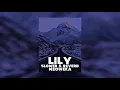 Lily - Alan Walker (Slowed + Reverb) Tiktok Viral