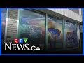 Sudbury magic mushroom shop raided again employee arrested