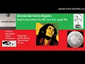 Lagu Ultimate Bob Marley Megamix (DMC Mix by Alan Coulthard August 1994)