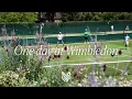 Download Lagu Jannik Sinner - One day at Wimbledon