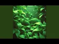 Harmonies of Earth and Ether