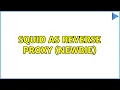 squid as reverse proxy newbie
