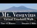 Lagu Mt. Vesuvius Walking Tour