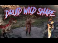 Every Druid Wild Shape form shown Baldur s Gate 3