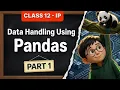 Introduction to Pandas Python Basics Class 12 Informatics Practices Unit 1 Part 1