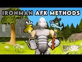 OSRS 2025 Best AFK Ironman Activities