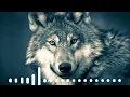 Download Lagu Turkish Attitude Ringtone || Turkish Music || Famous Turkish Ringtone AudioZone || VR Relaxing Music