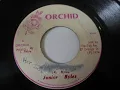 curly locks / lock and key / dreader locks / millitant rock - Junior Byles - Black Ark