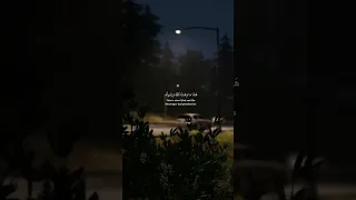 ولما رأى المؤمنون الأحزاب سورة الأحزاب محمد صديق المنشاوي 