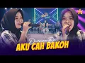Download Lagu DAMARA DE - AKU CAH BAKOH ( Official Live Music )