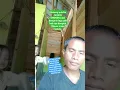 Download Lagu Cinta segi tiga pak haji raja dangdut Rhoma irama Soneta